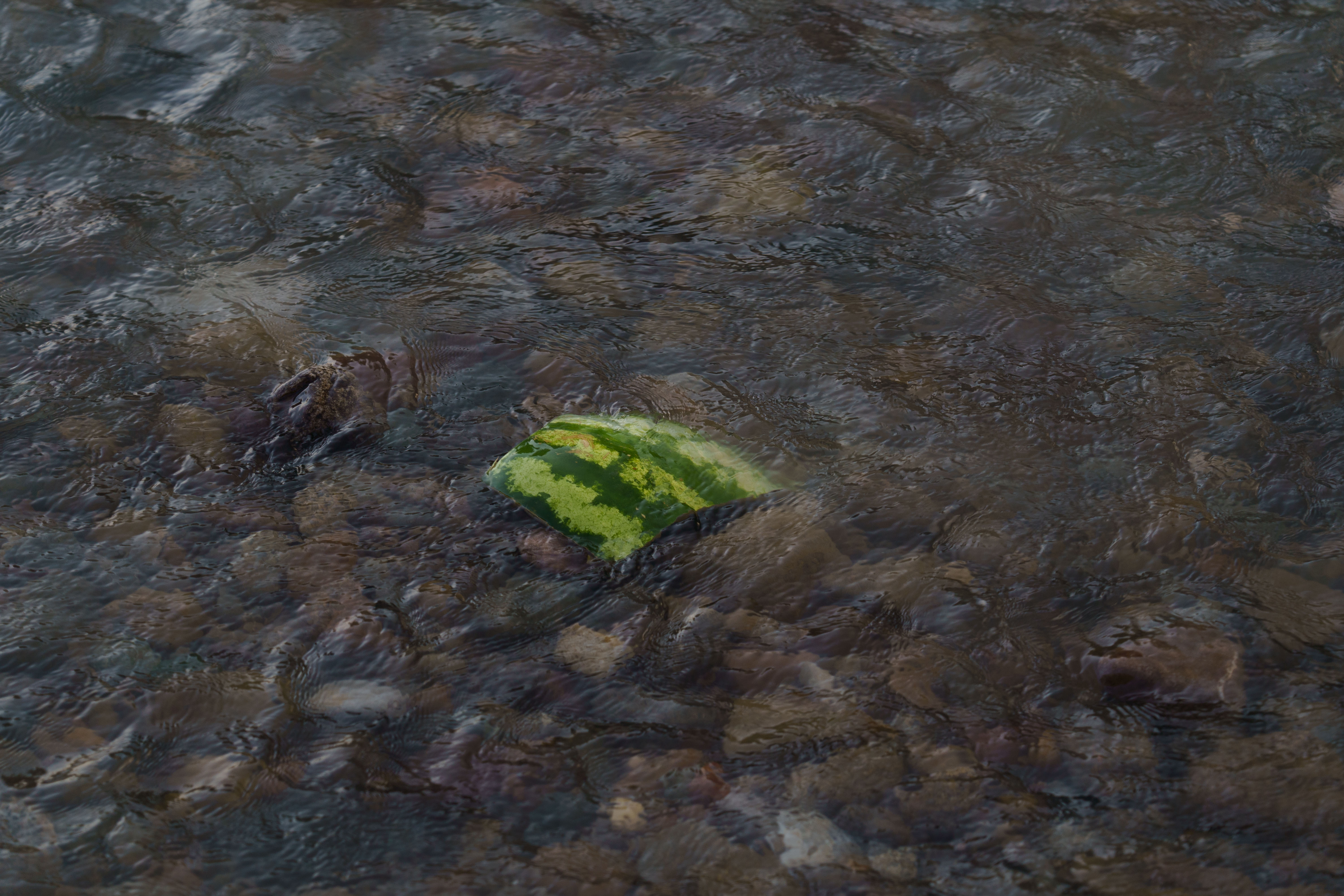 Engage H2O field documentation